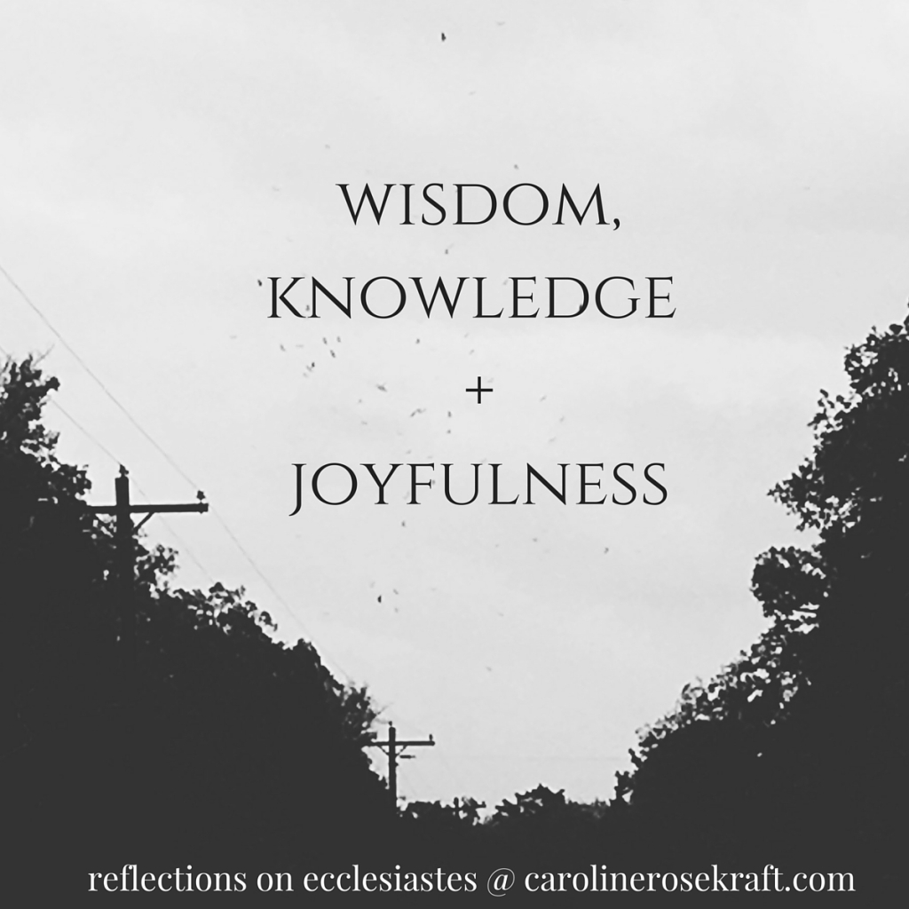wisdom, knowledge and joyfulness {a new series}
